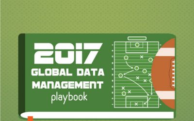 2017 Global Data Management Playbook [Infographic]