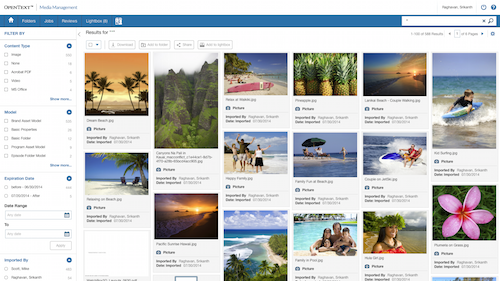 Facet search in OpenText Facet search in OpenText