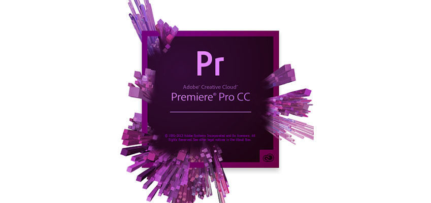 premiere professional