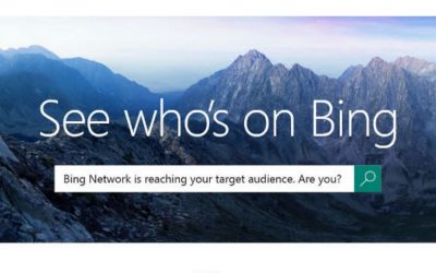 Who uses Bing, and Why They’re Important for Marketers [Infographic]