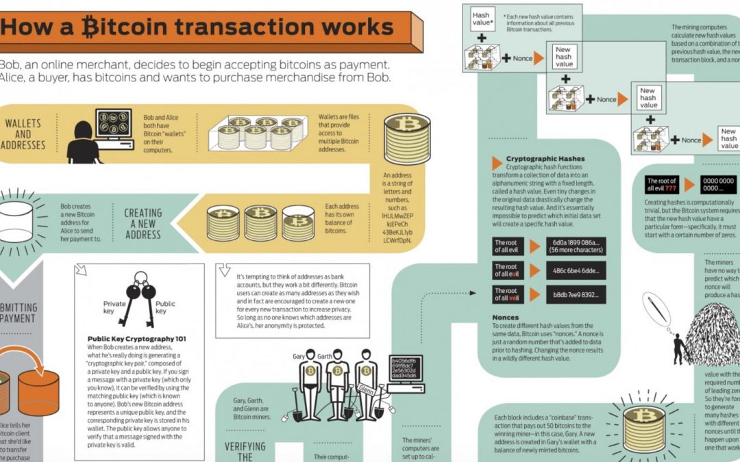 How Bitcoin Transaction Work [Infographic]