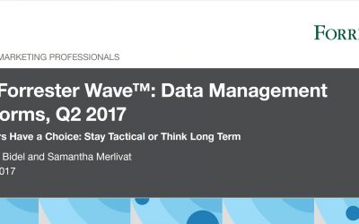 The Forrester Wave™: Data Management Platforms, Q2 2017