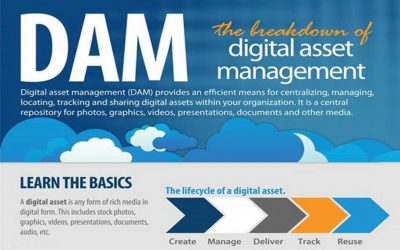 The Breakdown of Digital Asset Management ROI [Infographic]