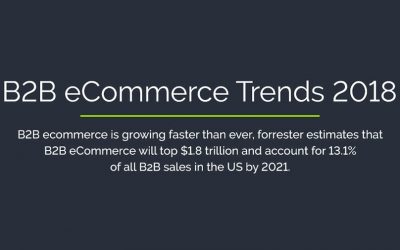 B2B E-commerce Trends & Statistics of 2018 That You Must Know [Infographic]