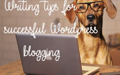 Writing tips for successful WordPress blogging