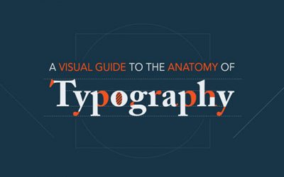 A Visual Guide to the Anatomy of Typography [Infographic]