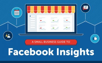 The Small Business Guide to Facebook Insights [Infographic]