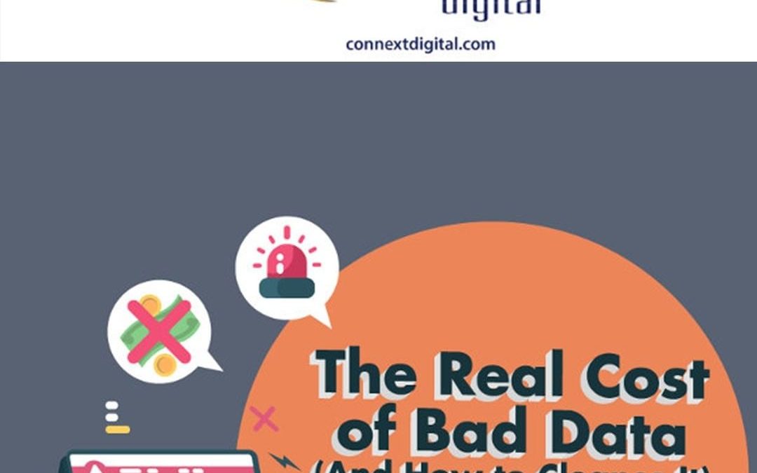 The real cost of bad data and how to cleanse it [Infographic]