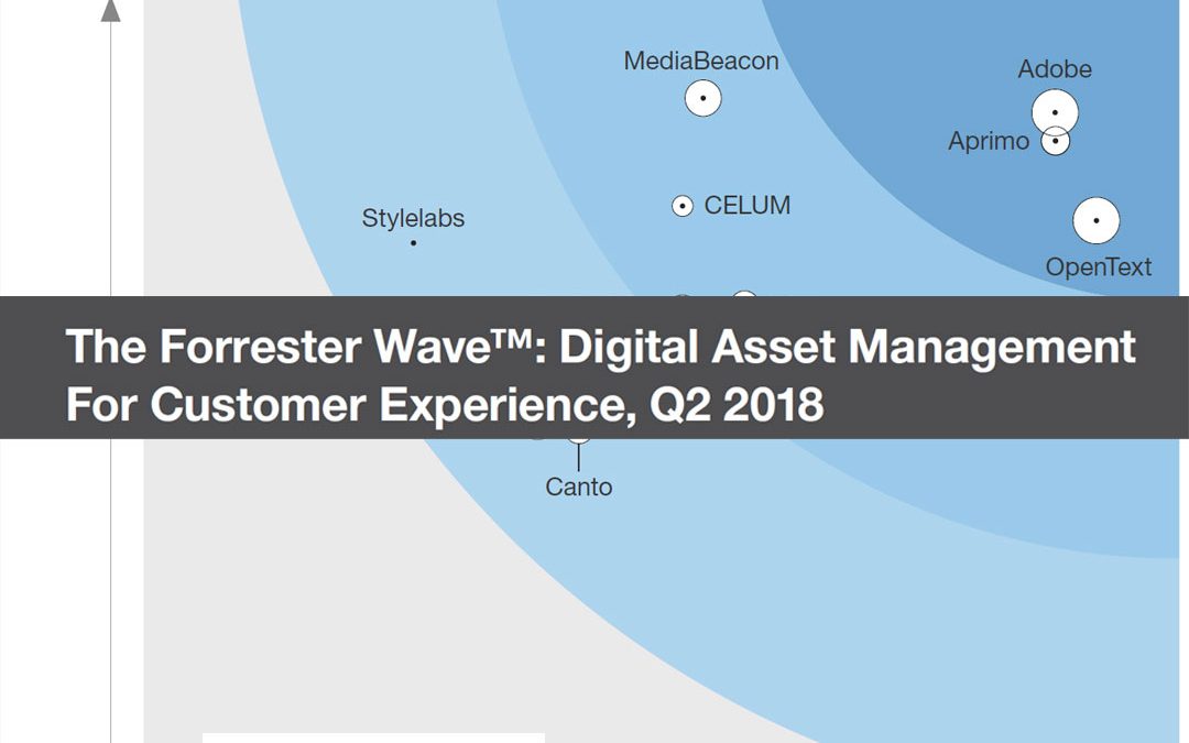 The Forrester Wave: Digital Asset Management For Customer Experience, Q2 2018