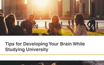 Brain Development Tips While Studying University