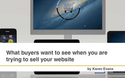 What Buyers want to See when you are Trying to Sell Your Website