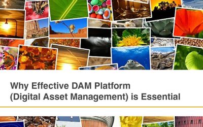 Why Effective DAM Platform (Digital Asset Management) is Essential