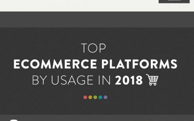 e-Commerce Platforms in 2018 [Infographic]