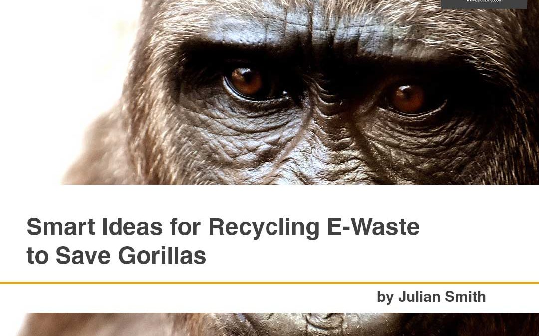 Smart Ideas for Recycling E-Waste to Save Gorillas