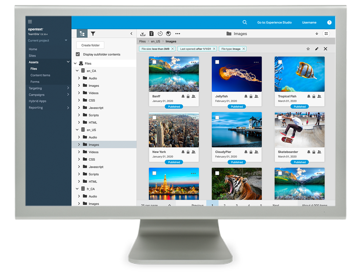 Skillz Middle East for Digital Asset Managment