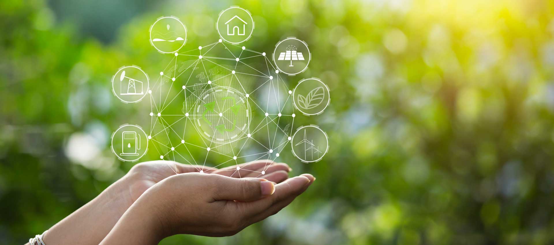 Sustainable Networks: Telecoms Go Green